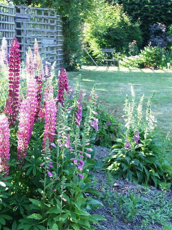 Catton Old Hall Bed & Breakfast Норуич Екстериор снимка